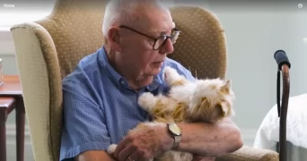 Best Cats For Seniors