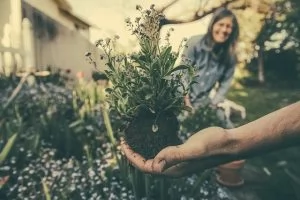 Benefits of Gardening For Seniors