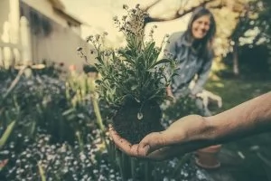 Gardening For Seniors