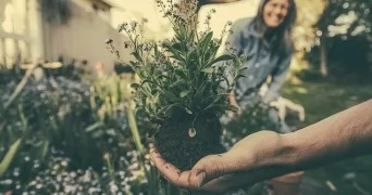 Benefits of Gardening For Seniors