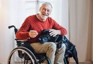 Best Pets for Seniors – What To Look For
