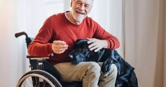 Best Pets For Seniors