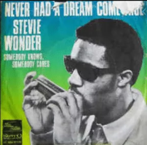 Stevie Wonder: “Never Had a Dream Come True”
