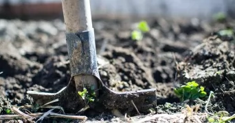 Indoor Gardening Beginner Guide