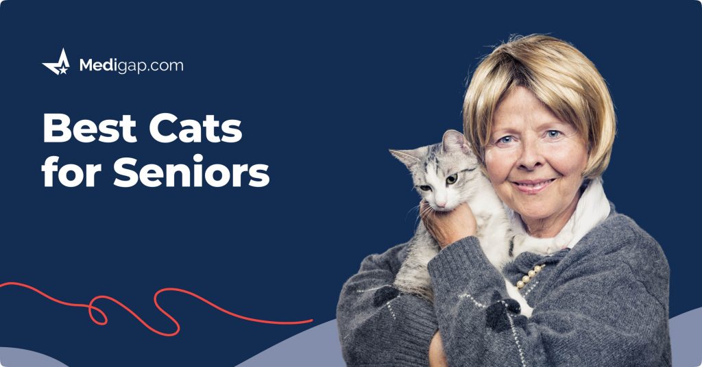 best cats for seniors