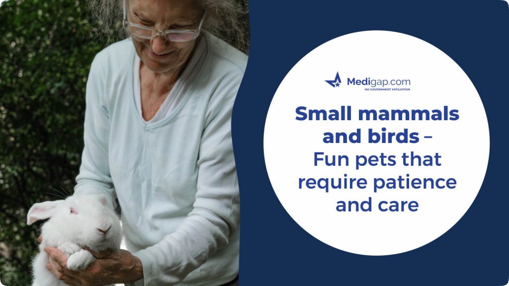 best small mammals and birds for seniors